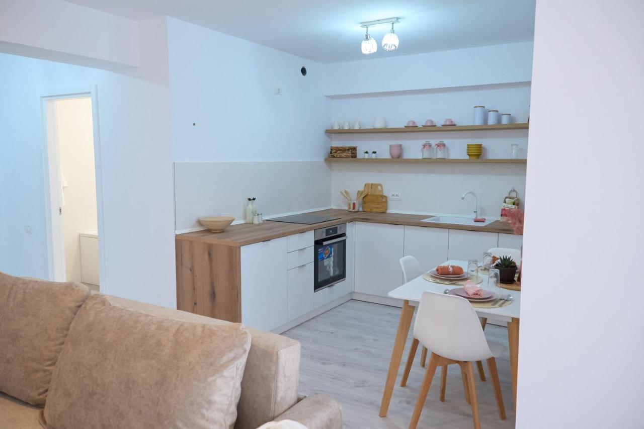 City Center Accomodation - 101 レシツァ エクステリア 写真