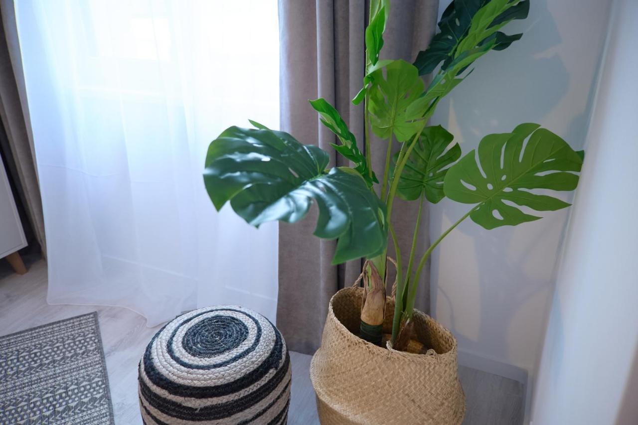 City Center Accomodation - 101 レシツァ エクステリア 写真