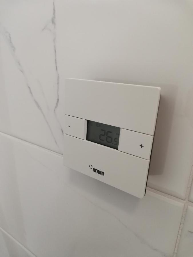 City Center Accomodation - 101 レシツァ エクステリア 写真