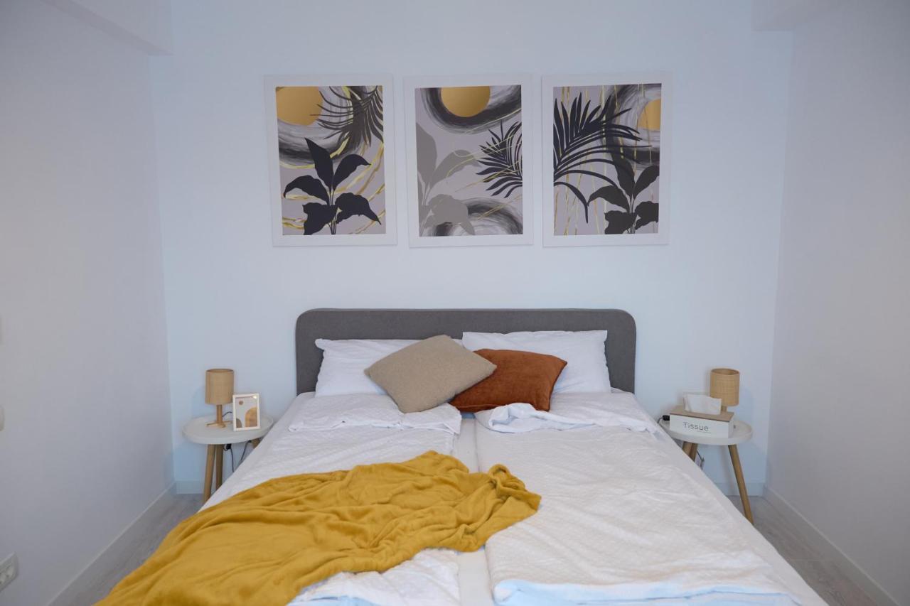 City Center Accomodation - 101 レシツァ エクステリア 写真
